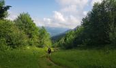 Trail Walking Lans-en-Vercors - Pic st Michel - Photo 20