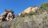 Tour Wandern Théoule-sur-Mer - Théoule, le rocher des Monges, N.D d'Afrique - Photo 5