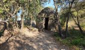 Excursión Senderismo Nages-et-Solorgues - Nages les capitelle - Photo 14