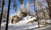 Tour Zu Fuß Weißenstadt - Rundwanderweg Weißenstadt Nr. 1 - Photo 4