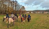 Randonnée Randonnée équestre Gresswiller - 2023-11-19 Picnic CVA Les pelouses du Jesselsberg - Photo 6