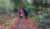 Trail Walking Grez-Doiceau - #221104 - Florival > Pécrot, GRP127 - Photo 15