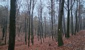 Excursión Senderismo Eupen - A la découverte d'Eupen 🥾 - Photo 15