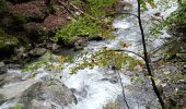 Trail Walking Plancherine - Abbaye de Tamié - Photo 3