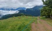 Tocht Stappen Les Gets - morzine col du mont chery - Photo 6