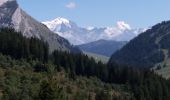 Tour Wandern Manigod - ARAVIS: PLATEAU DE BEAUREGARD - Photo 2