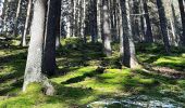 Tour Wandern Malmedy - Trôs-Marèts - Photo 1