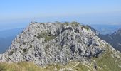 Trail On foot Zărnești - Cabana Plaiul Foii-La Lanțuri-Șaua Grindului - Photo 3