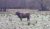 Tocht Stappen Theux - autour de croixpapet et vert-buisson - Photo 5