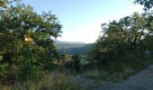 Trail Walking Les Vans - Chabiscol du 26/08/2024 - Photo 3