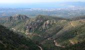 Trail Walking Fréjus - Pk MF du Malpey - Piste des Malavalettes par Carrefour Roche Noire - Photo 4