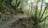 Excursión Senderismo Die - Le Dôme ou Pié Ferré de l'Abbaye Valcroissant - Photo 9