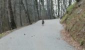 Randonnée Marche Cognin-les-Gorges - Les gorges du Nan - Photo 20