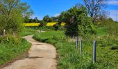 Tocht Stappen Philippeville - Balade à Omezée - Photo 20