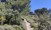 Trail Walking Saint-Rémy-de-Provence - Plateau de Caume - Photo 18