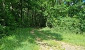 Trail Walking Coulommiers-la-Tour - Les Bois d'Huchigny, des Péseries et de Villemalin - Photo 12