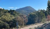 Randonnée Marche Barjols - Barjols - petit Bessillon - Photo 9