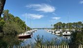 Tour Hybrid-Bike Vendays-Montalivet - Montalivet - Hourtin plage - Hourtin lac - Vendays - Photo 15