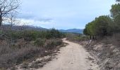 Randonnée Marche Trévillach - Séquière depuis le col des Auzines  - Photo 13