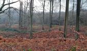 Tocht Stappen Watermaal-Bosvoorde - Forêt de Soignes - Photo 2