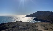Percorso Marcia Port-Vendres - Port Vendres Collioure sur les hauteurs et la côte  - Photo 19