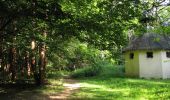Trail Walking Choisy-au-Bac - en forêt de Laigue_9_06_2020_Chemin du Fau Bidaud et la Route de Royaumont - Photo 6
