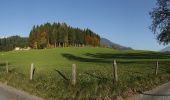 Tour Zu Fuß Werfenweng - Wanderweg 70 - Werfenweng - Photo 3