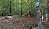 Trail On foot Philippsbourg - Hanau Pond's small circular hike - Photo 9