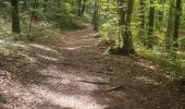 Trail Walking Allèves - 06-09-2022 Tours Saint Jacques-Grottes de Bange  - Photo 4