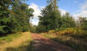 Randonnée Marche Haramont - en forêt de Retz_84_la Laie du Petit Bois d'Haramont - Photo 16