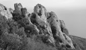 Trail Walking Saint-Raphaël - Agay - Rastel d'Agay - Drapeau - Pic du Cap Roux - Photo 6