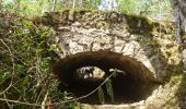 Tocht Stappen Milly-la-Forêt - 190501 - Photo 1