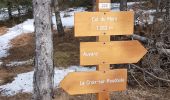 Tour Wandern La Croix-sur-Roudoule - Auvare Mont - Photo 3