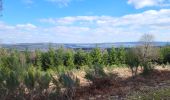 Tour Wandern Dreibrücken - Logbierme 280223 - Photo 6