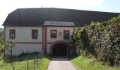 Excursión A pie Gemeinde Prigglitz - Pottschacher Hütte Rundweg - Photo 4