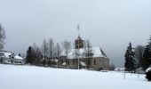 Tour Zu Fuß Haidmühle - Hirschbergsteig - Photo 2