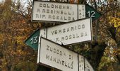 Excursión A pie Mandello del Lario - Sentiero 13: Rongio - Rifugio Rosalba per la Val Portorella - Photo 1