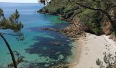 Trail Walking Crozon - Morgat - Pointe de la Chèvre - Photo 16