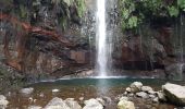 Excursión Senderismo Calheta - Madère : de Rabaçal vers les 25 sources - Photo 9