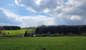 Randonnée Marche Houffalize - rando wibrin 22-04-2024 - Photo 1