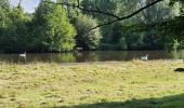 Tour Wandern Gisors - Gisors voie verte jusqu'à Beausséré - Photo 10