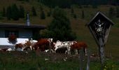 Tour Zu Fuß Gemeinde Walchsee - Wanderweg 57 - Kaiserwinkl - Photo 8