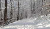 Tour Wandern Spa - spa . Marteau. golf . warfaaz . spa - Photo 20
