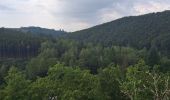 Trail Walking Martelange - Martelange, Radelange, Forêt d’Anlier - Photo 2