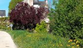 Trail Walking Saumur - Dampierre sur Loire - Photo 15