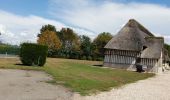 Trail Walking Mesnil-en-Ouche - Les jonquerets de livet - Photo 1