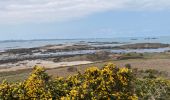 Tocht Stappen Carantec - Tour de l'île Callot - Photo 7