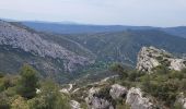 Tocht Stappen Gémenos - Col de l'Espigoulier  - Photo 1