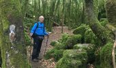 Trail Walking Nébias - Sentier nature, labyrinthique vert - Photo 2