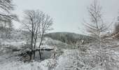 Trail Walking Tenneville - rando wyompont 11-01-2026 - Photo 3